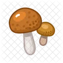 Boletus de gorra marrón  Icono