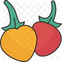 Bolivian Pepper  Icon