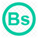 Boliviano-coin  Icon