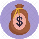 Contabilidad Dinero Dolar Icon