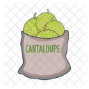 Cantalupo Icon