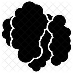 Bomb Explosion Icon