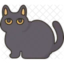 Bombay Cat Feline Icon