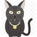 Bombay Cat Black Cat Panther Like Icon