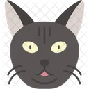 Bombay Cat Black Cat Panther Like Icon
