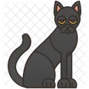 Bombay-Katze  Symbol