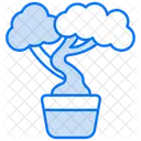 Bonai Tree Tree Nature Icon