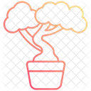 Bonai tree  Icon