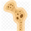 Bone  Icon