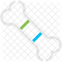 Bone Skeletal System Icon