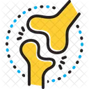 Bone Ossicle Cartilage Icon