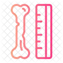 Bone  Icon