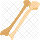 Bone Ulna Arm Icon