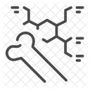 Bone anatomy  Icon