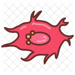 Bone cell  Icon