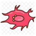 Bone cell  Icon