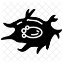 Bone cell  Icon