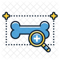 Bone Density Testing  Icon
