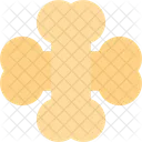 Bone Skeletal Ancient Icon