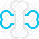 Bone Skeletal Ancient Icon