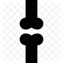 Bone  Icon