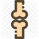 Bone  Icon