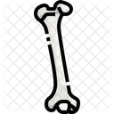 Bone Organ Body Part Icône