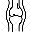Bone Icône