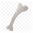 Bone  Icon