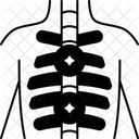 Bone  Icon