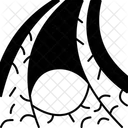 Bone Marrow Skeletal Icon