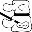 Bone  Icon