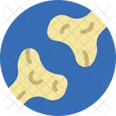 Bone Join  Icon