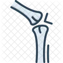 Bone Joint Icon
