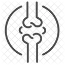 Bone joint  Icon