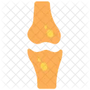 Bone Joint  Icon