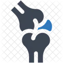 Bone Joint  Icon