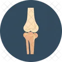 Bone Joints  Icon
