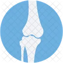 Bone Joints  Icon