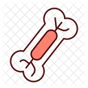 Bone Marrow Bone Blood Cell Icon