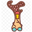 Bone marrow  Icon