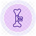 Bone sculpture  Icon