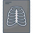 Bone x ray  Icon