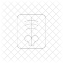 Bone X Ray Icon