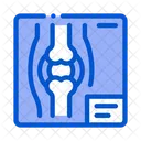 Bone X Ray  Icon