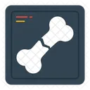 Bone X Ray  Icon
