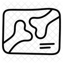 Bone X Ray  Icon