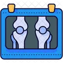 Bone Xray  Icon