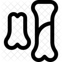 Bones Fossils Skeleton Icon