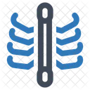 Bones Cage Rib Icon